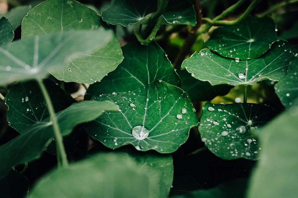 Photograph by Мария Новоселецкая