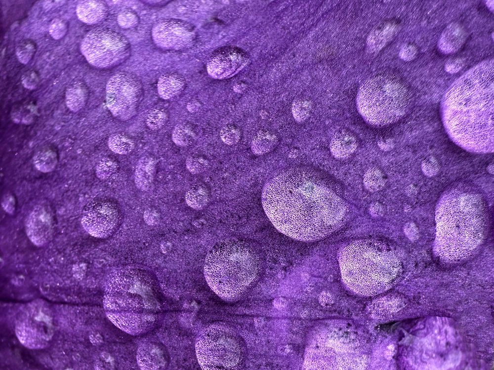 Photograph by Елена Чулюнина