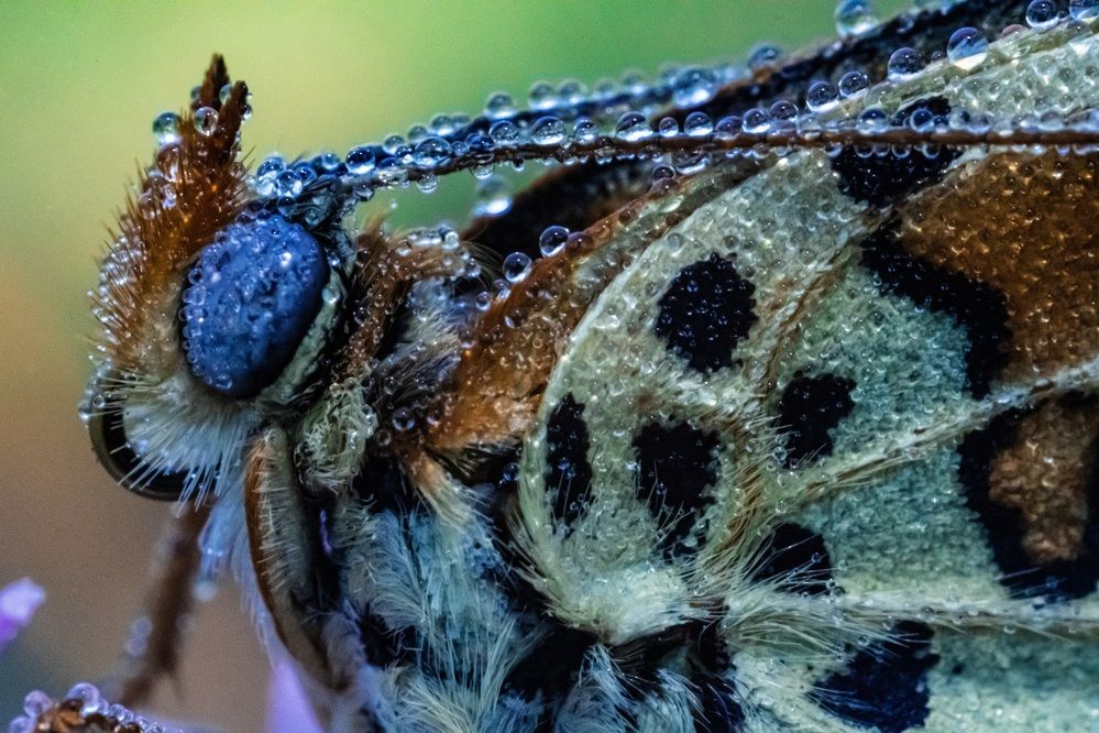 Photograph by stefanini alexis