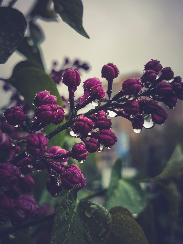 Photograph by Юлия Носкова