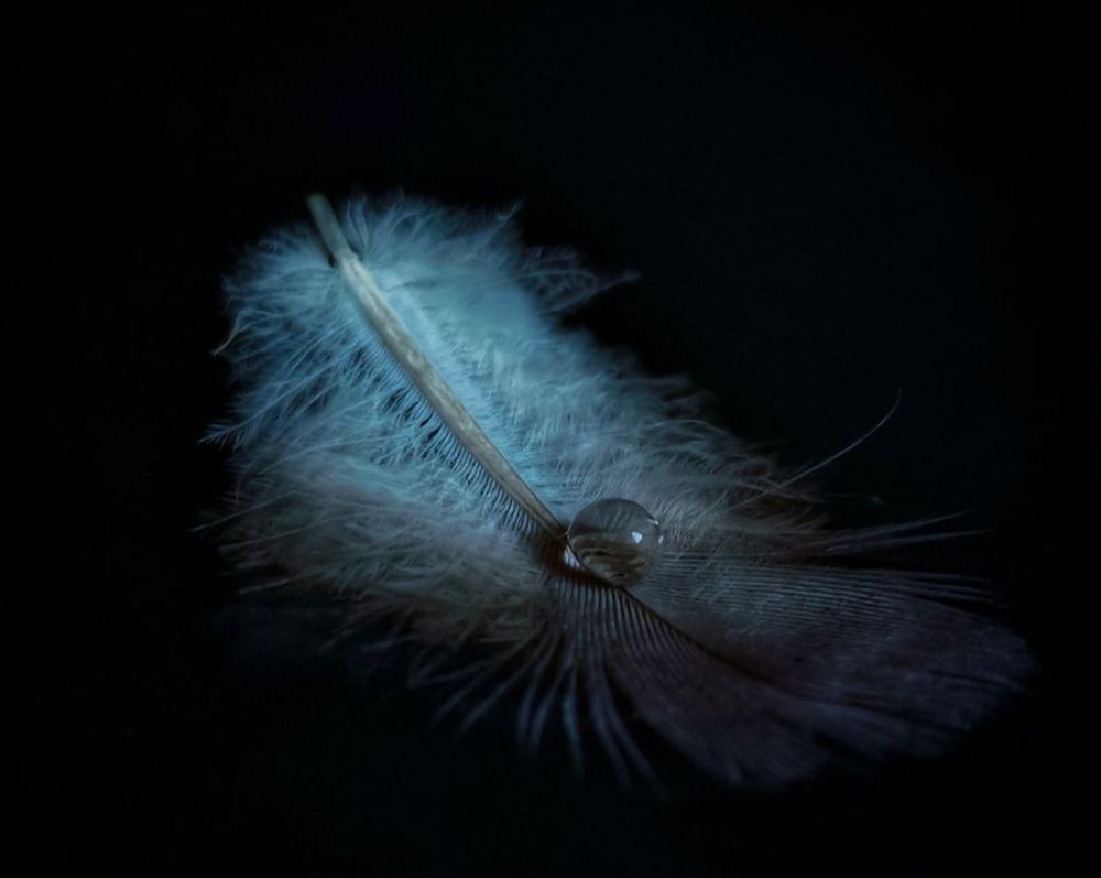 Photograph by Алексей Копылов