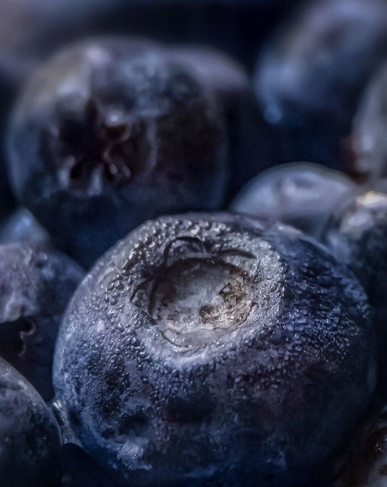 Photograph by Алексей Копылов