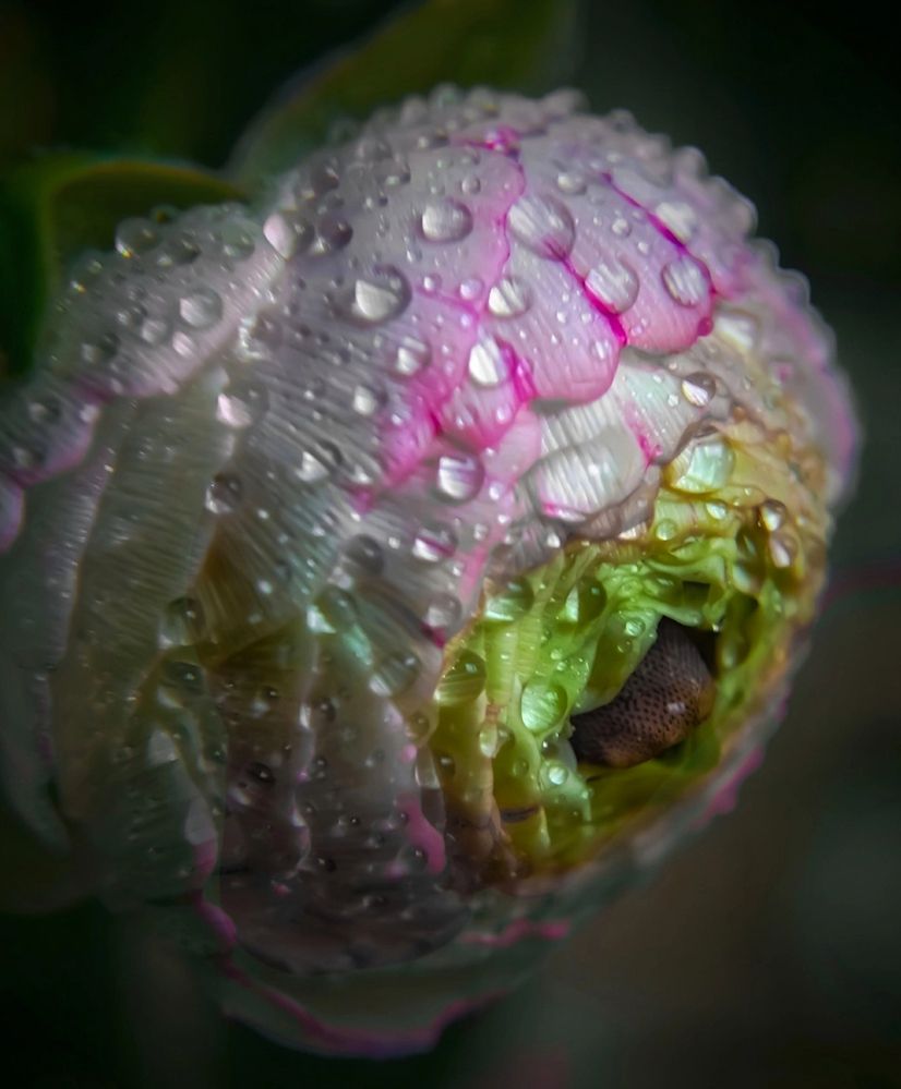 Photograph by Алексей Копылов