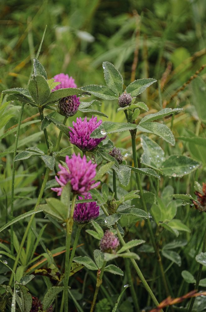 Photograph by Дарья Бышек