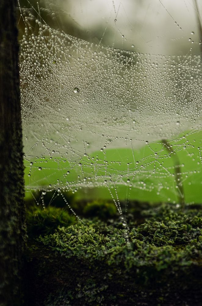 Photograph by Дарья Бышек