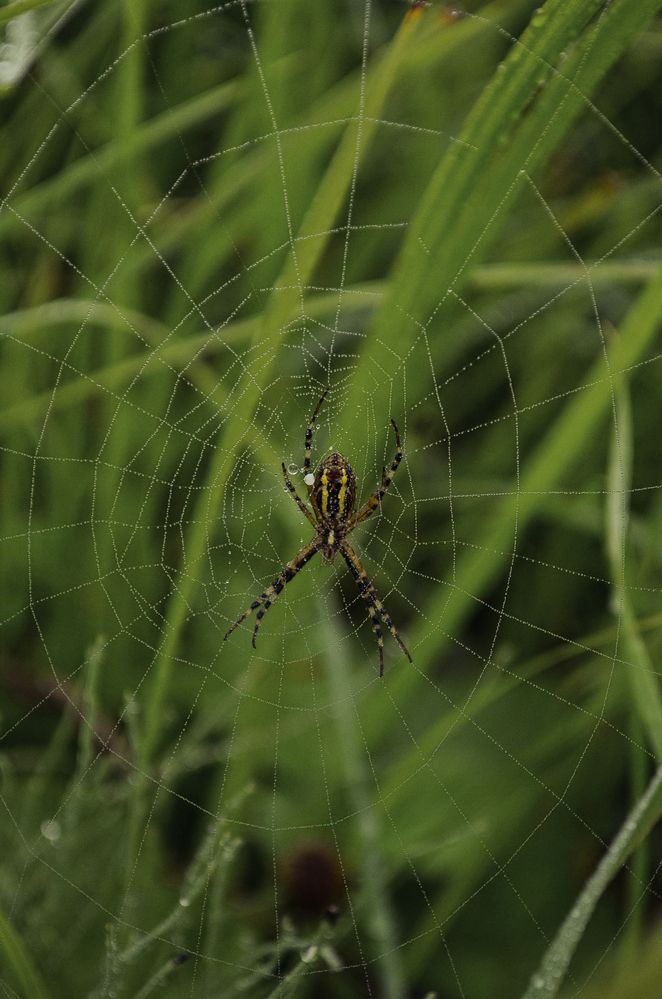 Photograph by Дарья Бышек