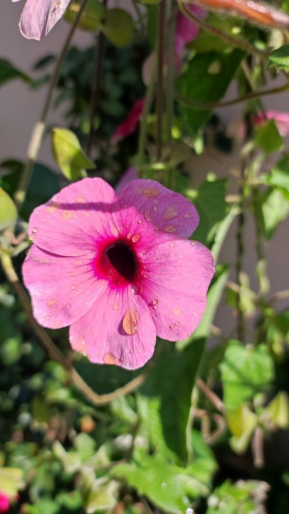 Photograph by Марийона Савоненко