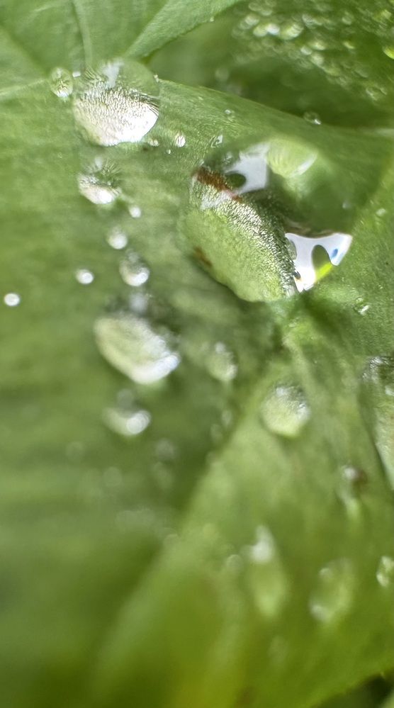 Photograph by Ольга Логарева