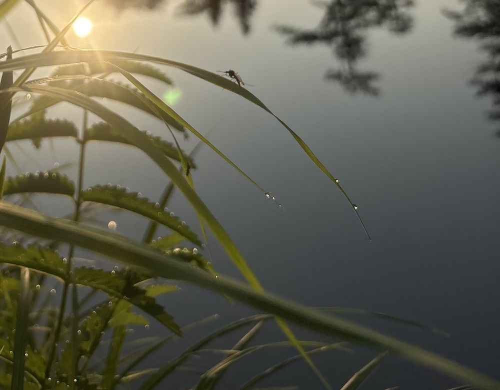 Photograph by Ольга Логарева