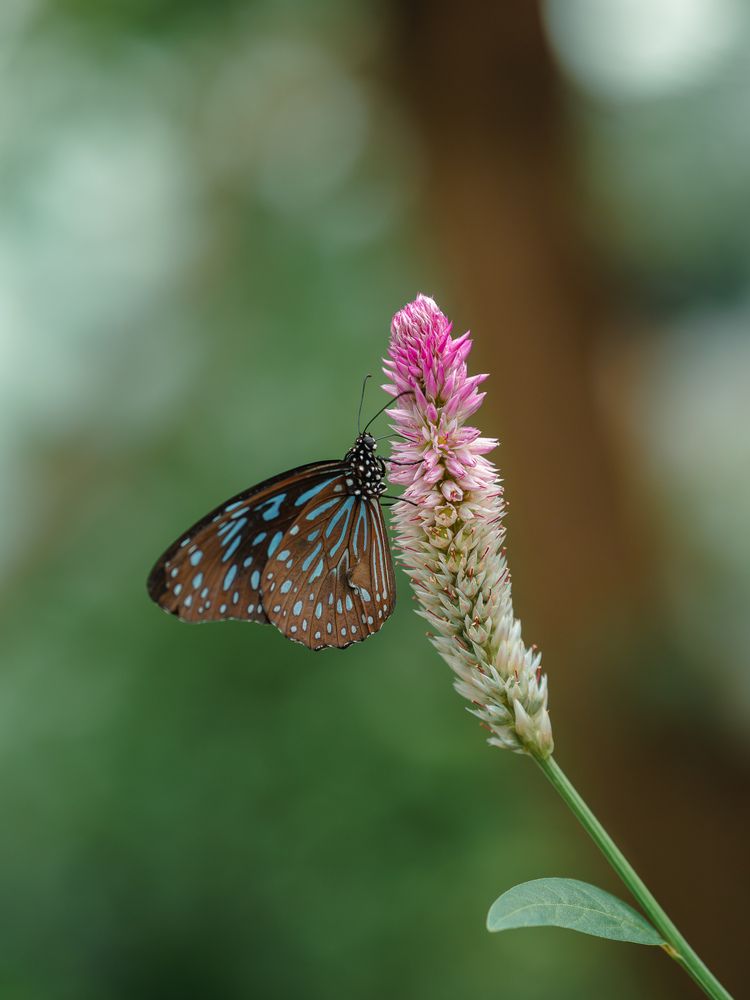 Photograph by Ирина Протченко