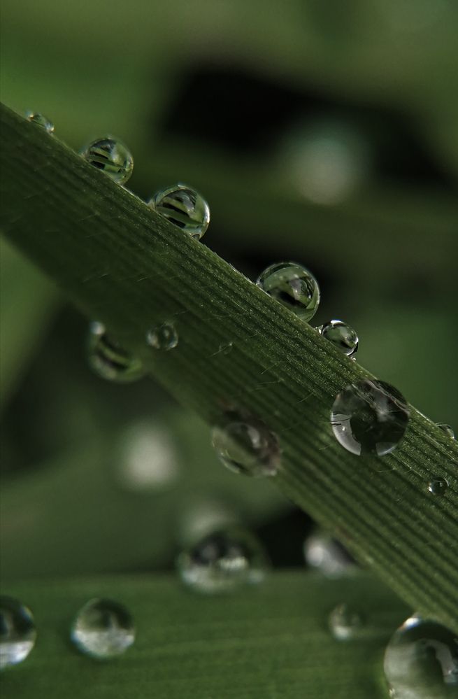 Photograph by Наталия Соболева