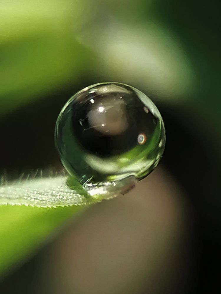 Photograph by Наталия Соболева