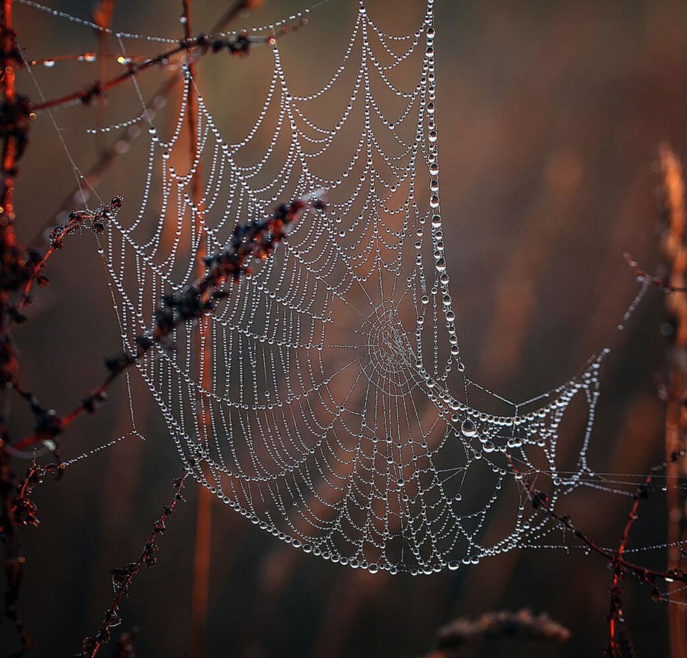 Photograph by Александр