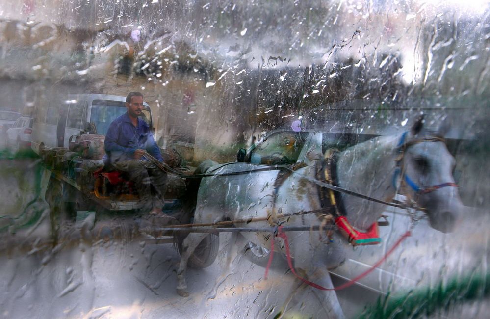 Фотография автора arman teymour