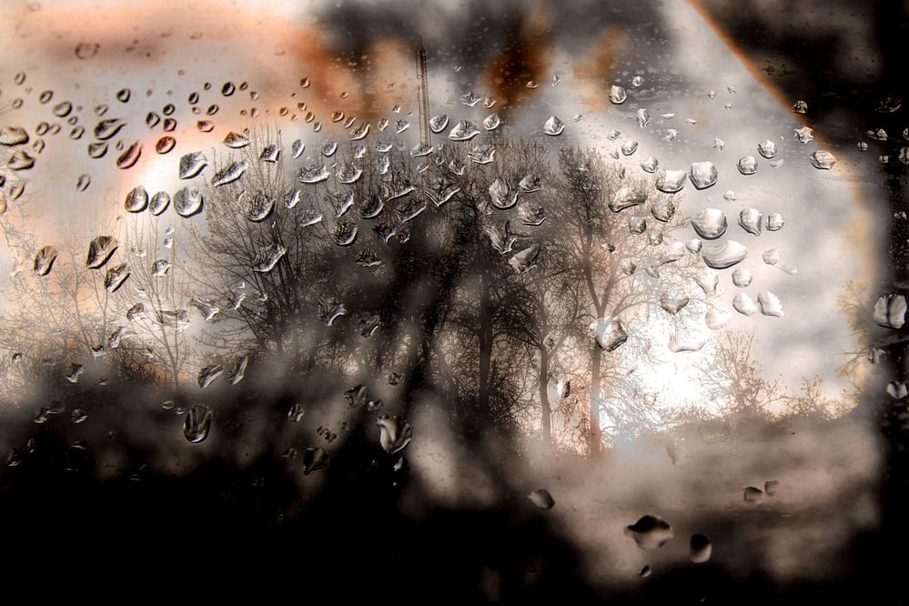 Фотография автора arman teymour