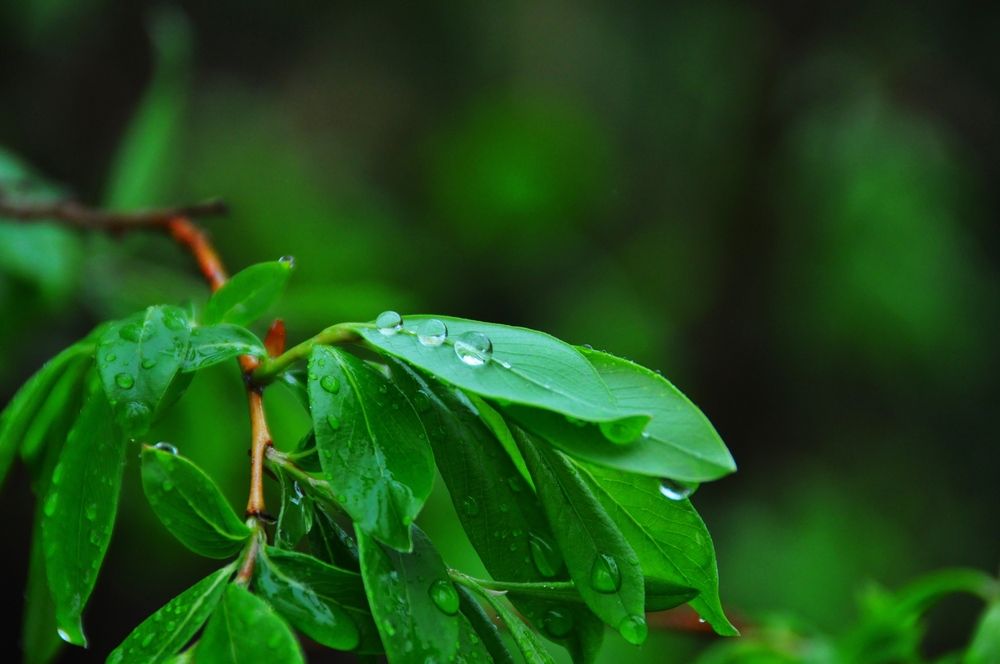 Photograph by Евгений Захаров