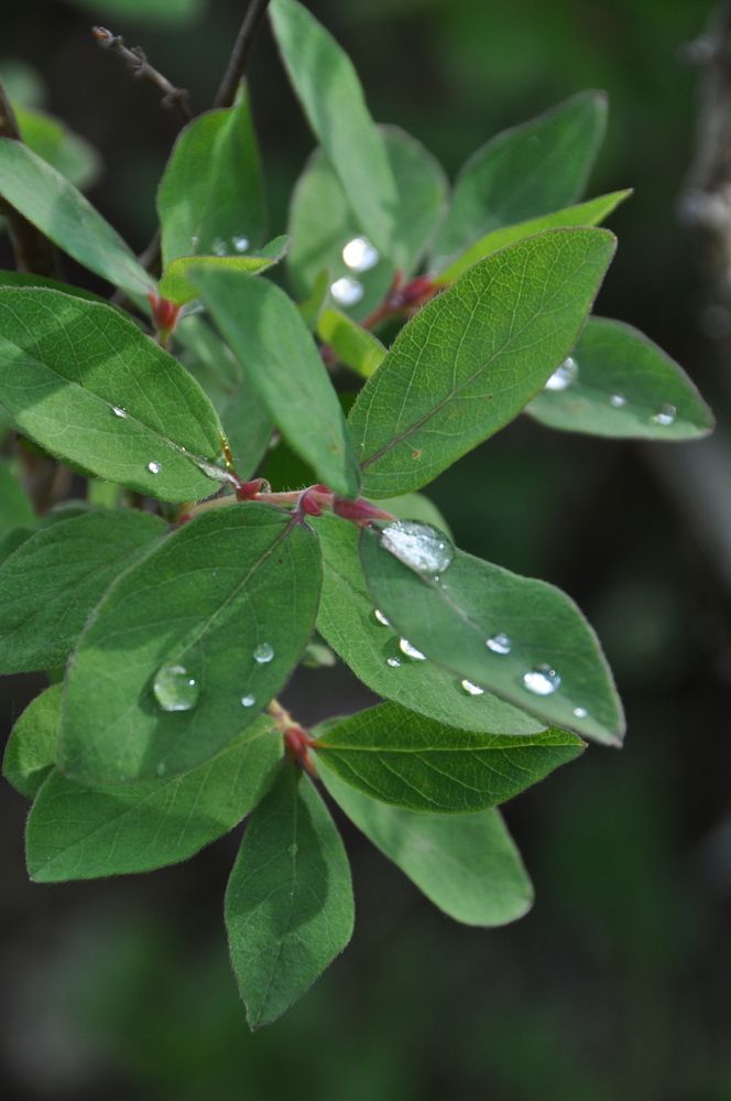 Photograph by Евгений Захаров