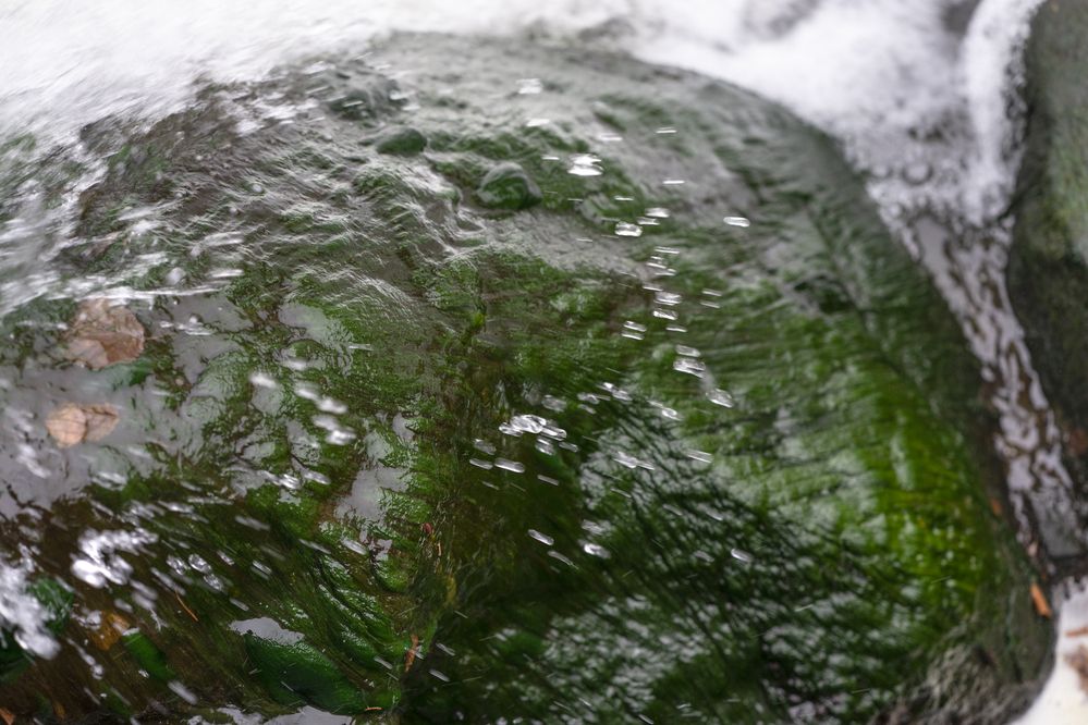 Photograph by Андрей Семенков