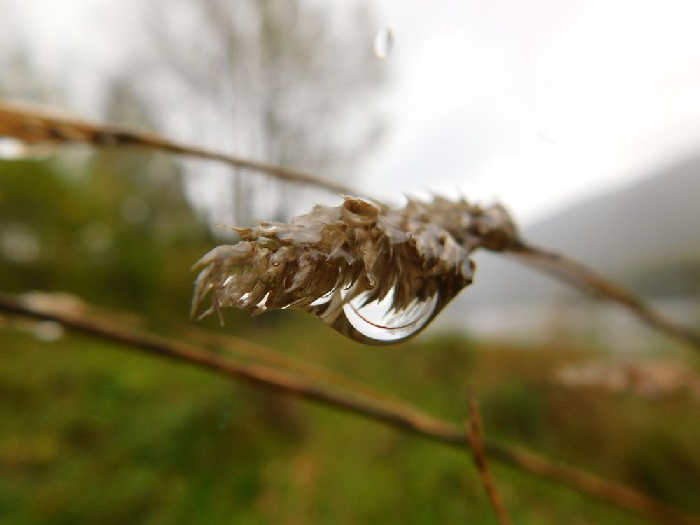 Photograph by Александр Прядко