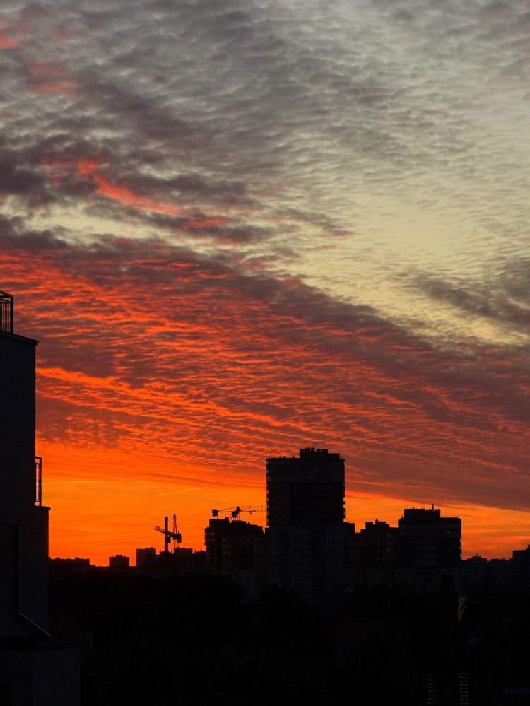 Фотография автора Елена Меньшикова