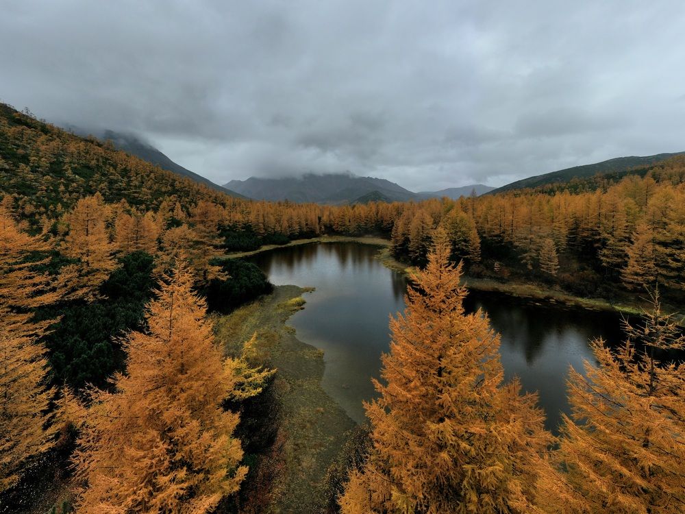 Photograph by Лариса Ким