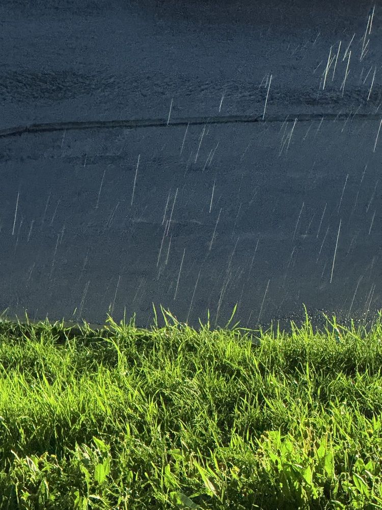 Photograph by Elvira