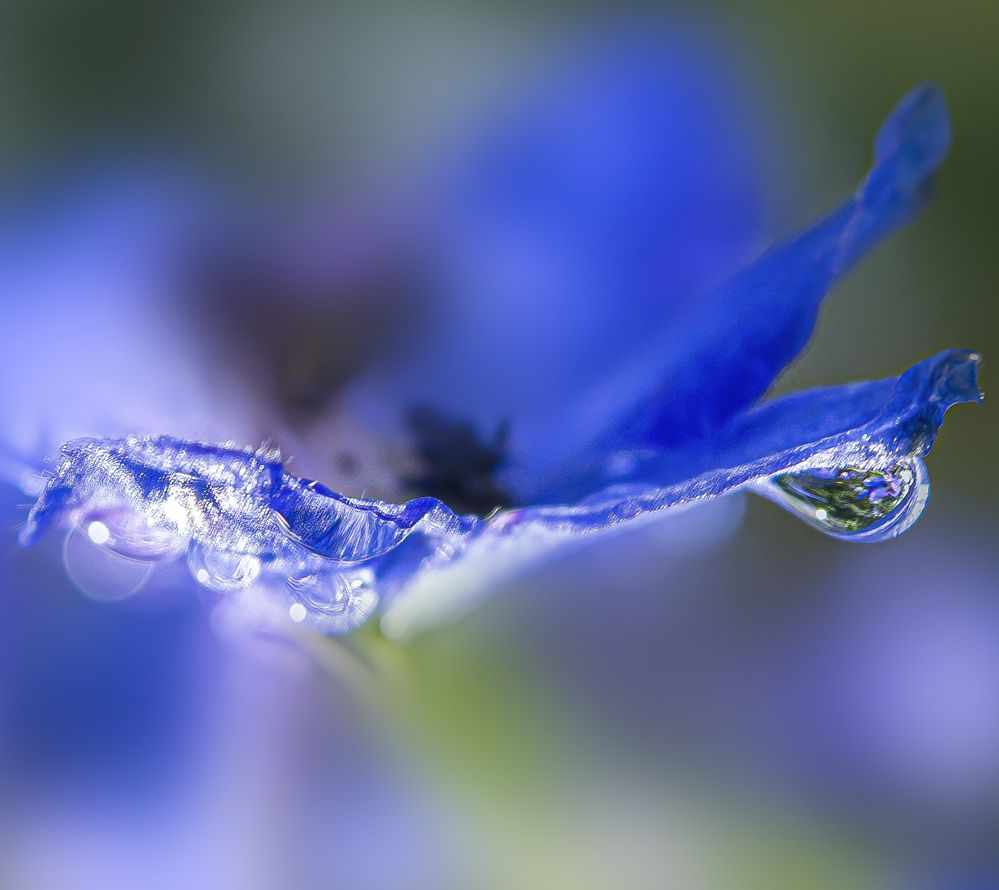 Капля дождя