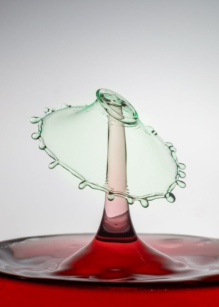 Photograph by Abbas Kalantar