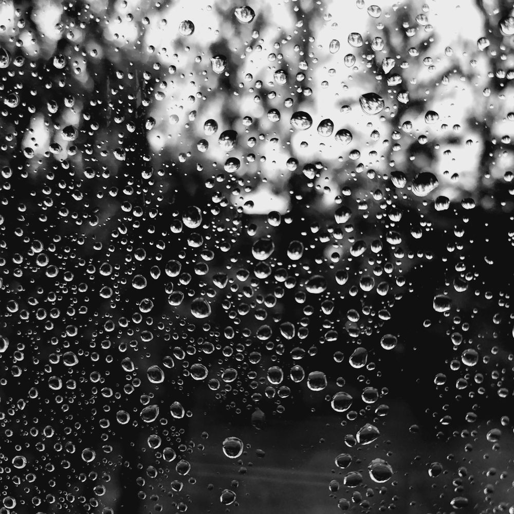 Фотография автора Татьяна Сякина