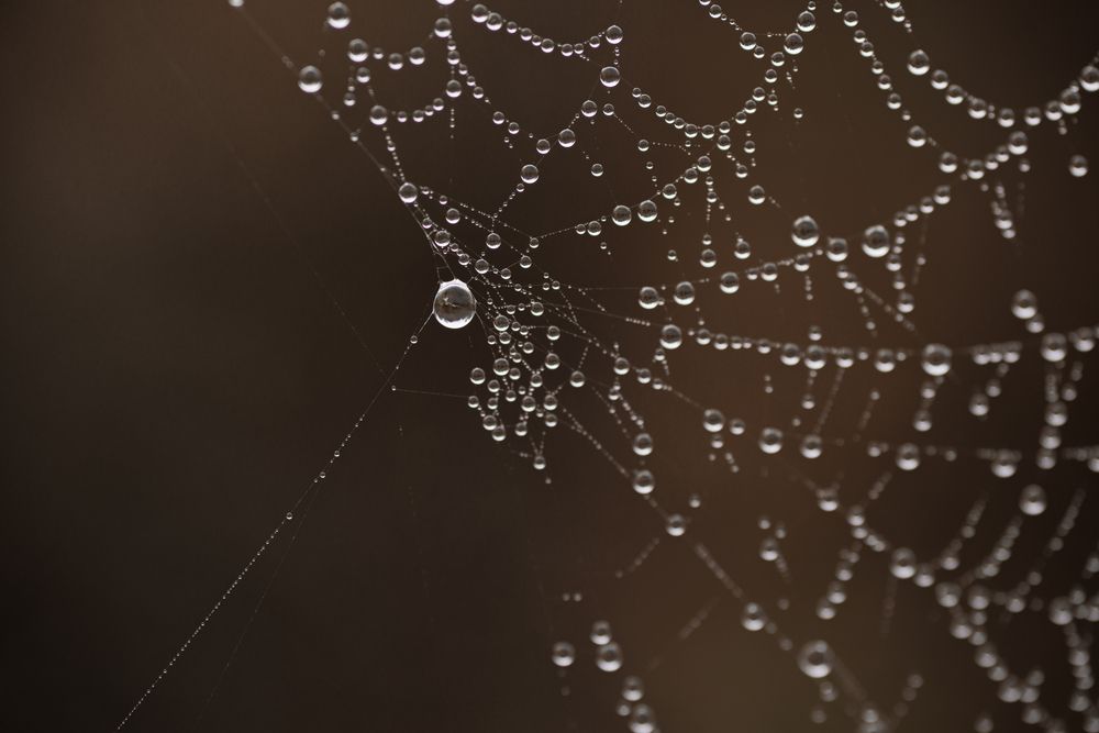 Photograph by Екатерина Овсянникова