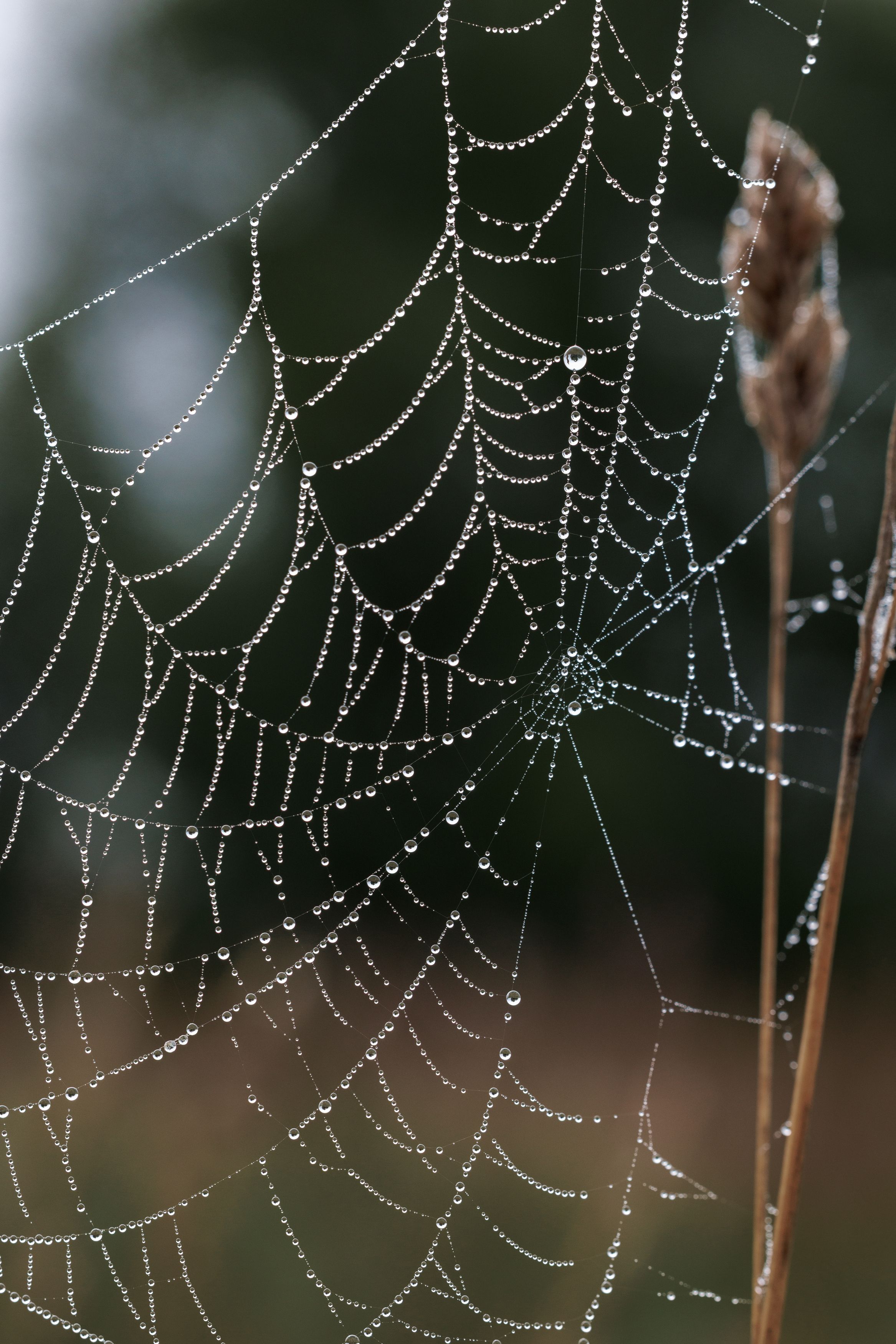 Photograph by Екатерина Овсянникова