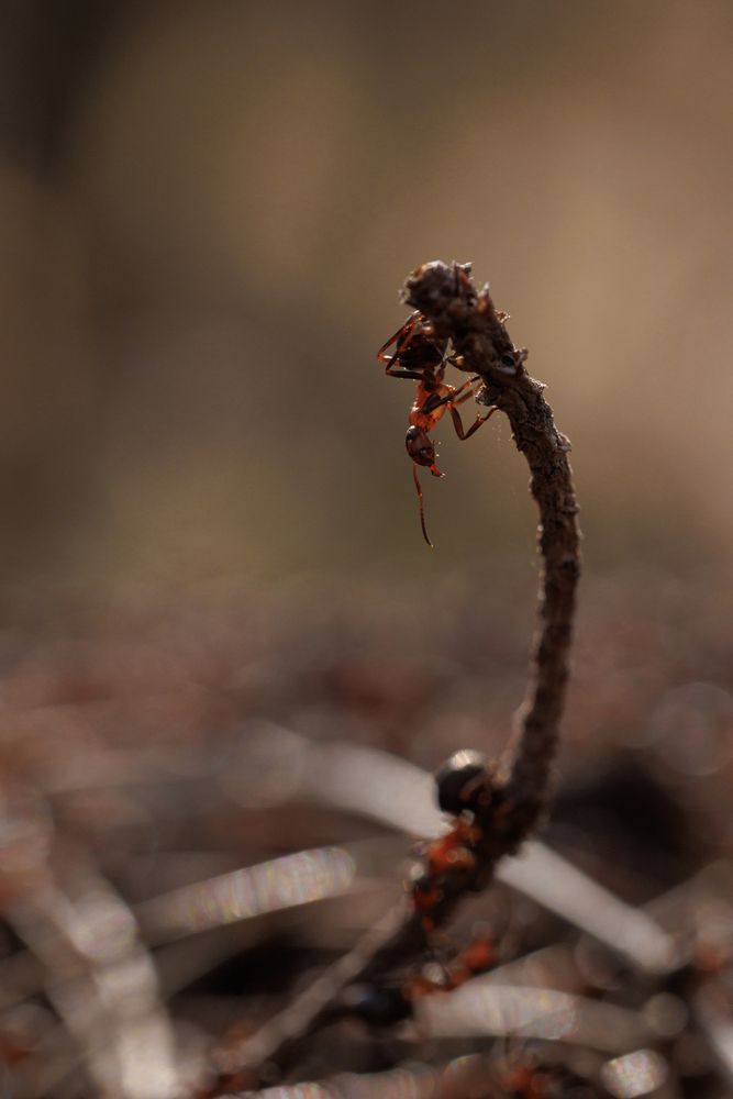 Photograph by Екатерина Овсянникова