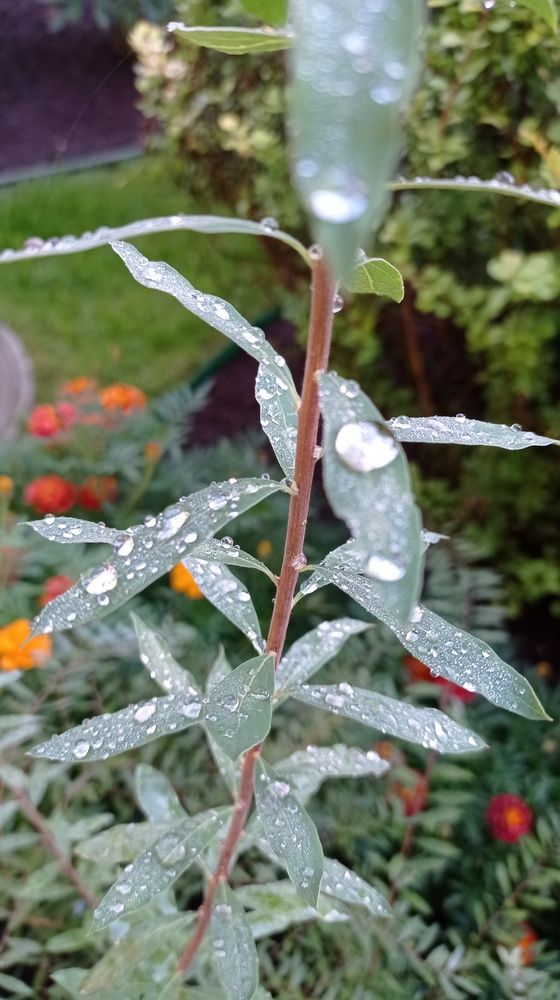 Фотография автора Костя