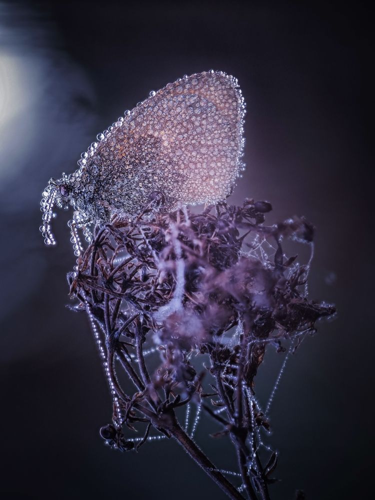 Photograph by Лапшина Владлена