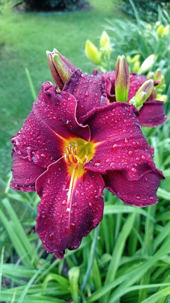 Фотография автора Костя