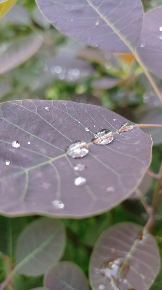 Фотография автора Костя