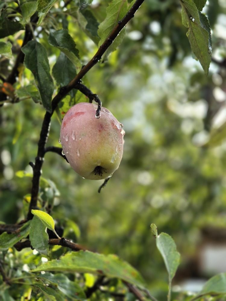 Photograph by Ульяна Митрофанова