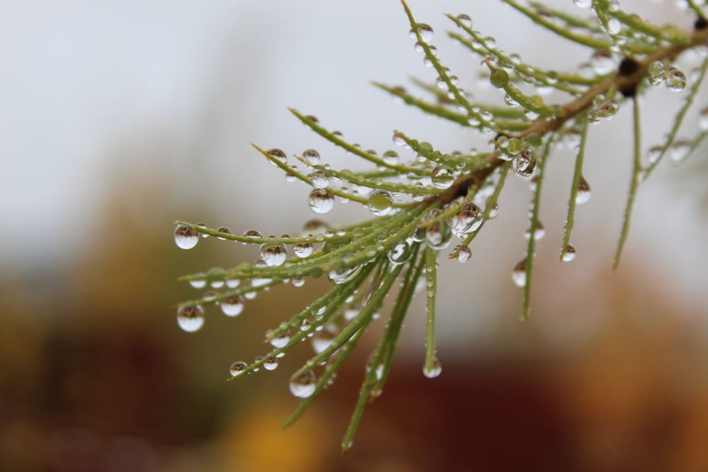 Photograph by Михаил Мархинин