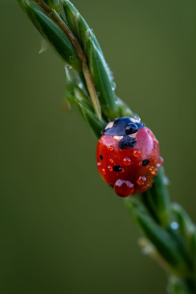 Photograph by Dmitry BESPAMIATNYI