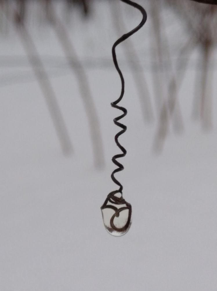 Photograph by Елена Коробченко