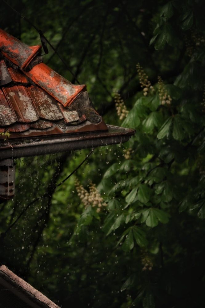 Photograph by Stella Szpinek