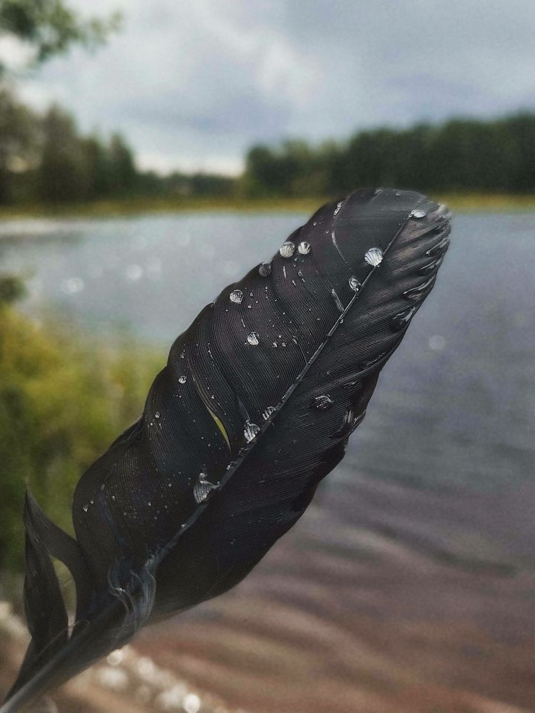 Photograph by Наталья Тополевская