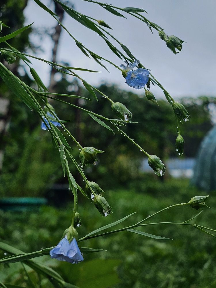 Photograph by Наталья Тополевская