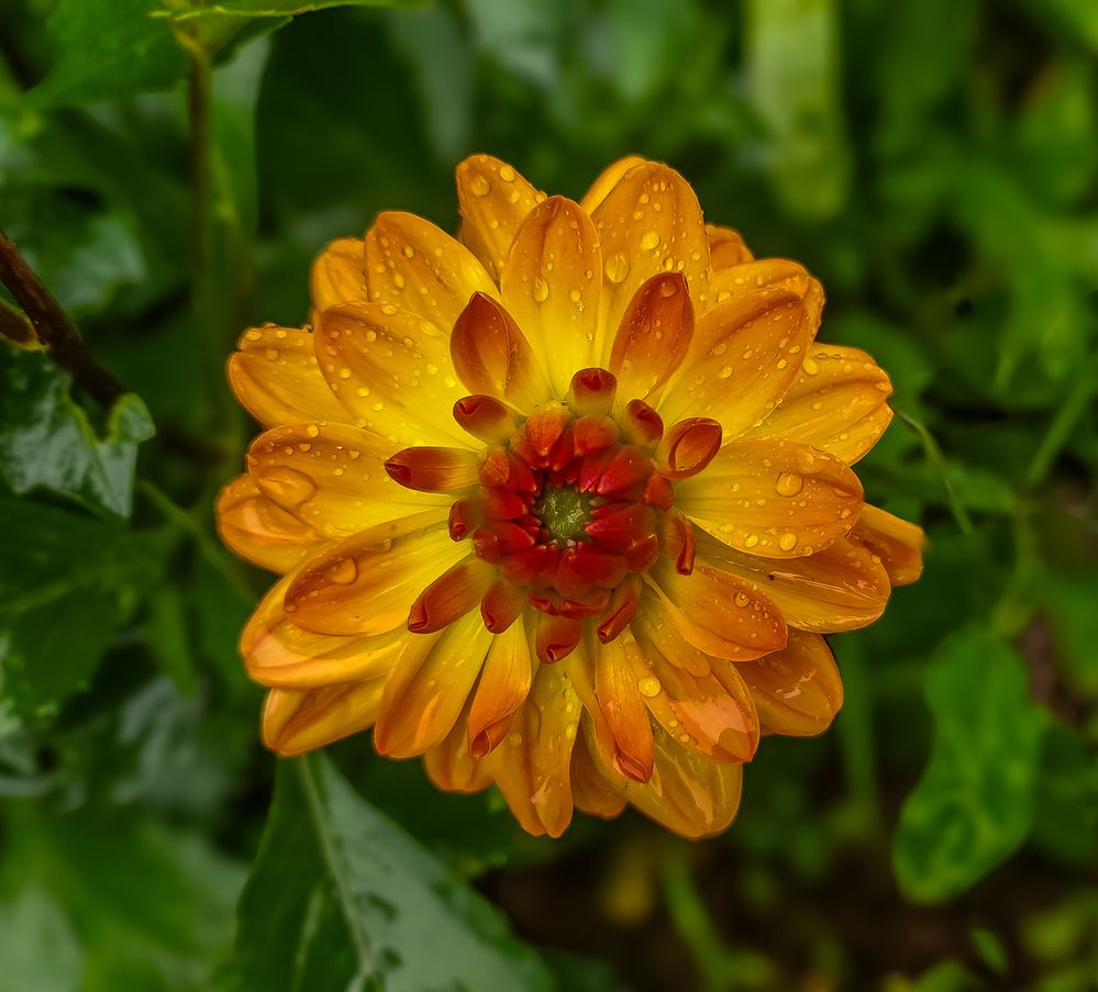 Photograph by Екатерина Никитина