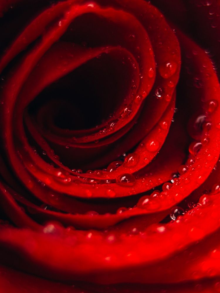 Photograph by Елена Михалева