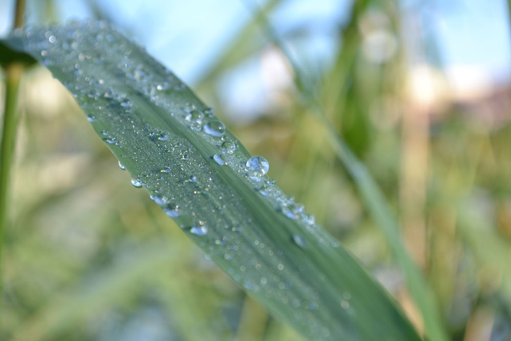 Photograph by Дмитрий Лебедев