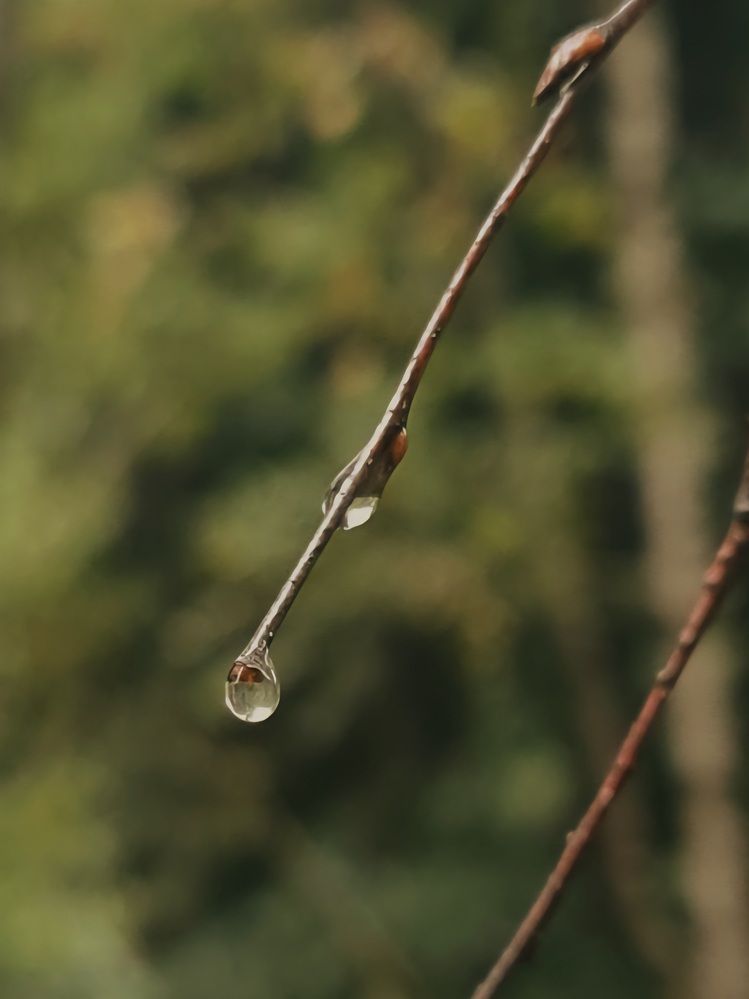 Photograph by Наталья Чурашова
