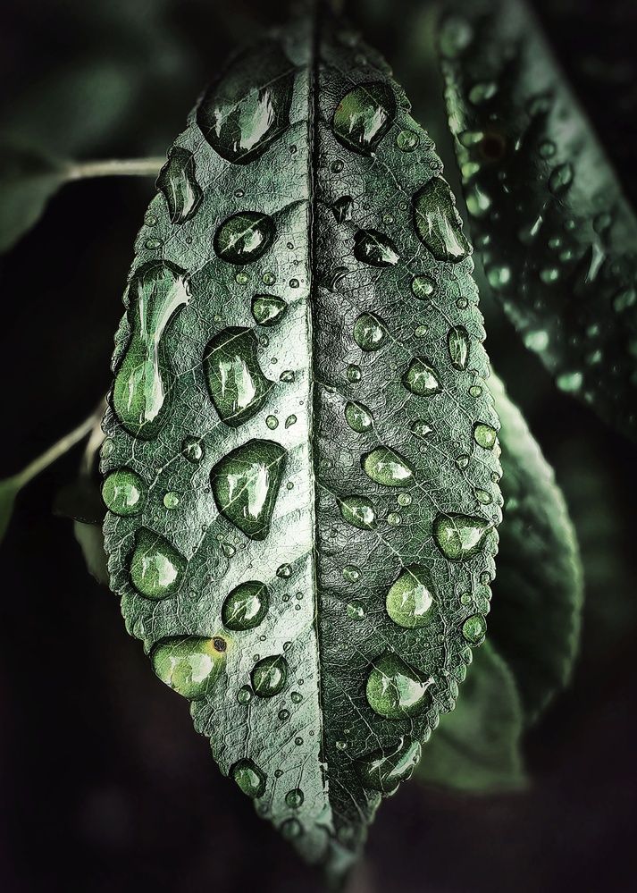 Photograph by Ярославна