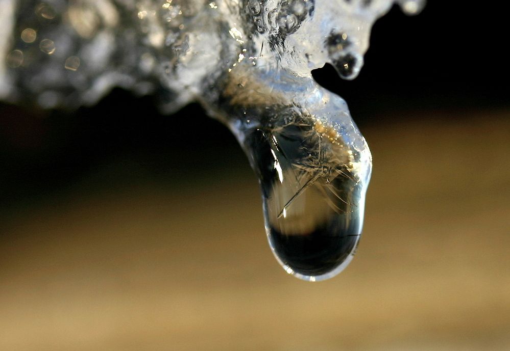 Фотография автора Nelya  Lysenko