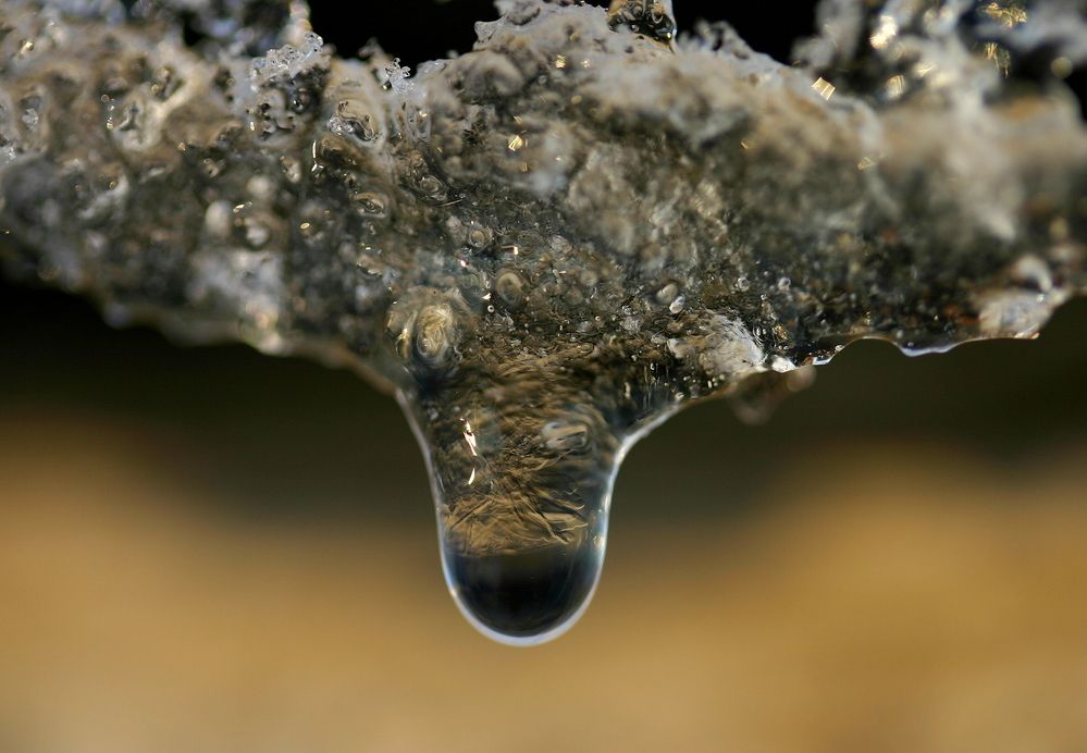 Фотография автора Nelya  Lysenko